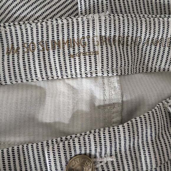 Women's "CHICO'S So Slimming Girlfriend", Ankle Jeans Pants; Gray Stripe; Size S - Picture 3 of 5